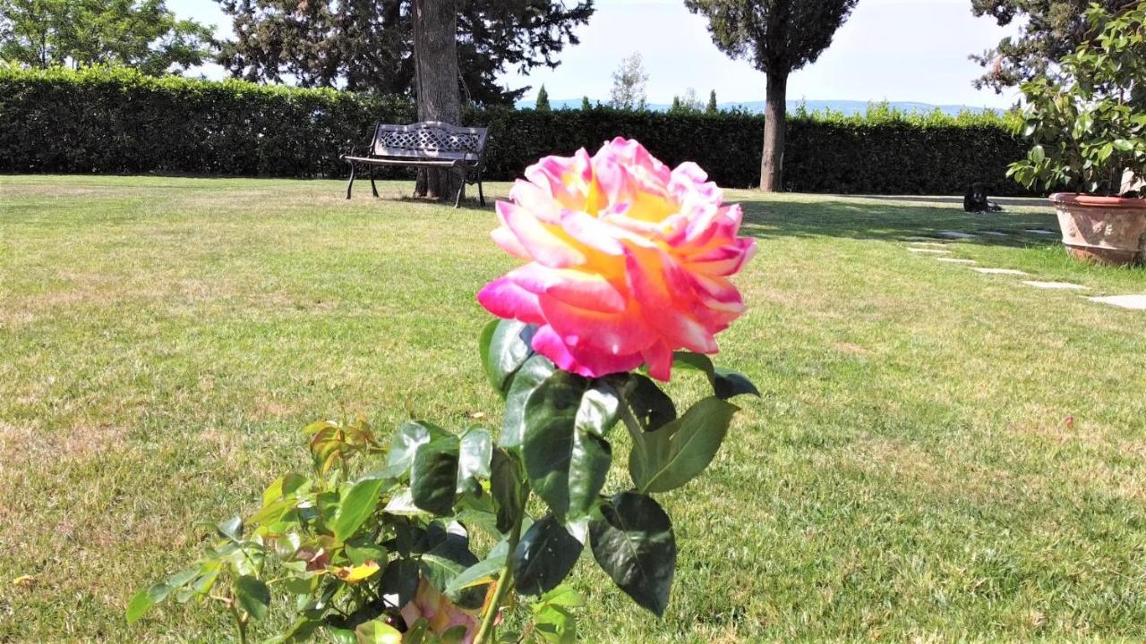 Tenuta Barbadoro Agriturismo Apartment Montespertoli Eksteriør billede